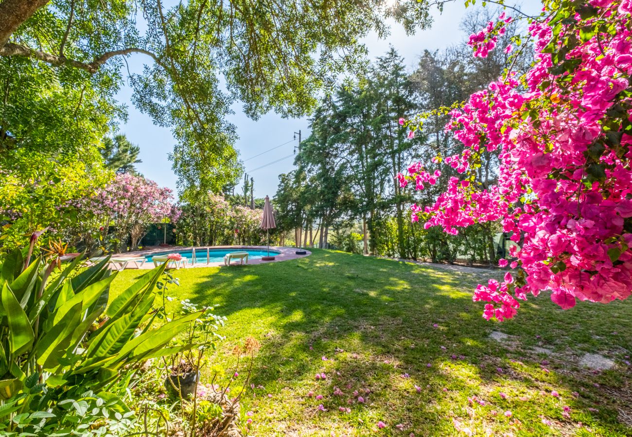 Villa in Alcantarilha - Villa Sol - Pine Gardens