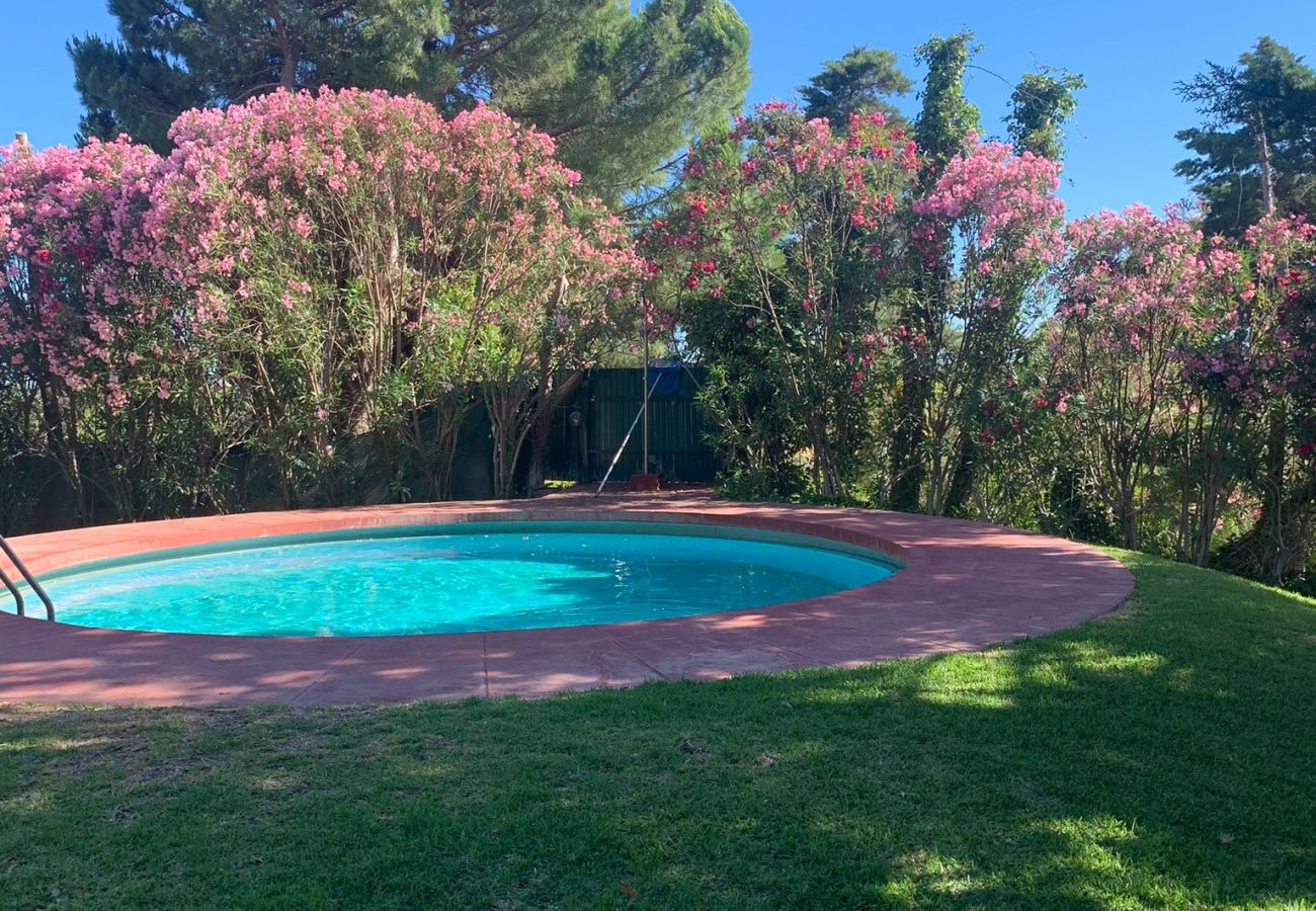 Villa in Alcantarilha - Villa Sol - Pine Gardens