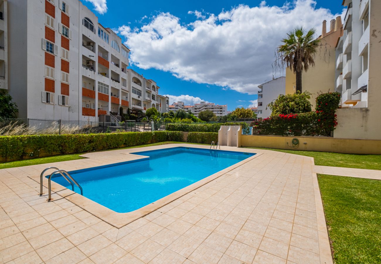 Apartment in Albufeira - Blue Wave Apartment